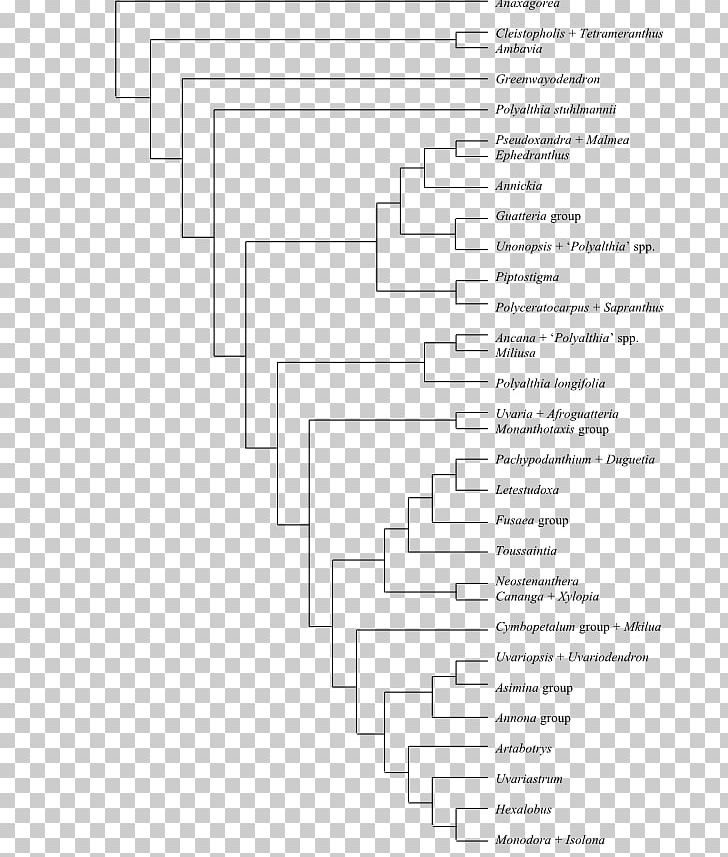 Bootstrapping Phenotypic Trait National Autonomous University Of Mexico Cladogram Phylogenetic Tree PNG, Clipart, Anatomy, Angle, Area, Biology, Black And White Free PNG Download