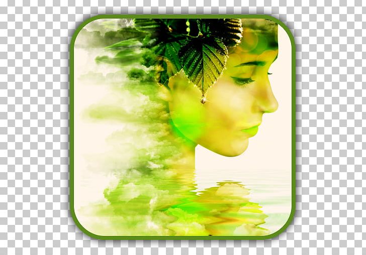 Android Editor Multiple Exposure PNG, Clipart, Android, Download, Google Play, Green, Leaf Free PNG Download