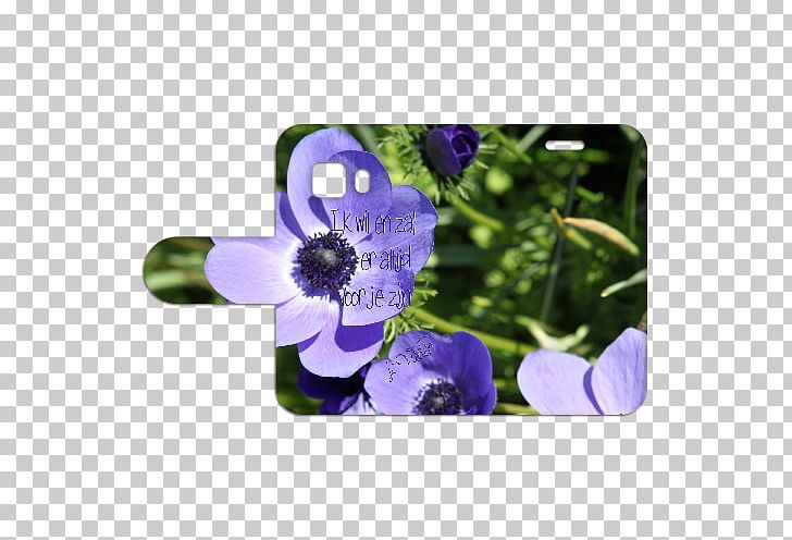Anemone Petal Wildflower PNG, Clipart, Anemone, Bluebonnet, Flora, Flower, Flowering Plant Free PNG Download