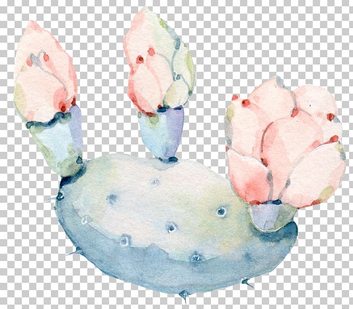 Watercolor: Flowers Watercolor Painting Cactaceae PNG, Clipart, Botany, Cactus, Color, Drawing, Flower Free PNG Download