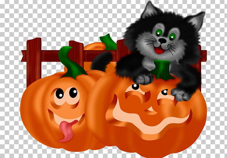 Kitten Cat Whiskers Pumpkin Orange PNG, Clipart, Balloon Cartoon, Black, Black Cat, Carnivoran, Cartoon Free PNG Download