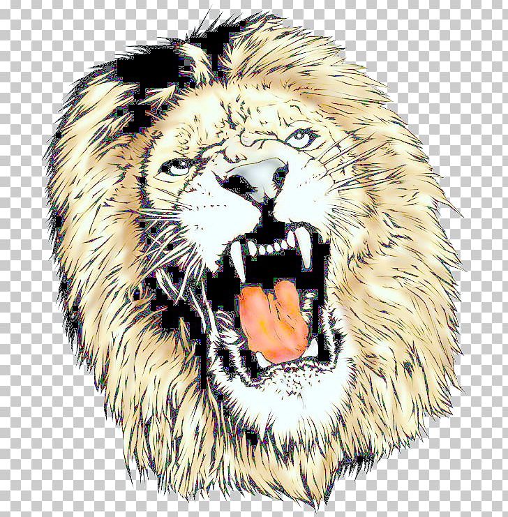 Lion Tiger Cat Roar Animal PNG, Clipart, Animal, Big Cats, Carnivoran, Cat, Cat Like Mammal Free PNG Download