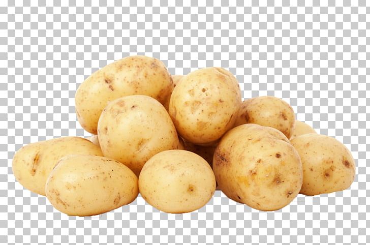 Mashed Potato Vegetarian Cuisine Baked Potato PNG, Clipart, Baked Potato, Cauliflower, Electricity, Experiment, Food Free PNG Download