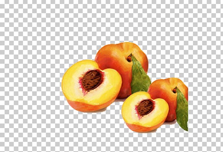 Peach Fruit Computer File PNG, Clipart, Concepteur, Delicious, Diet Food, Download, Food Free PNG Download