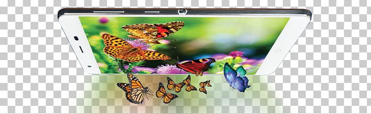 Plastic Gadget PNG, Clipart, Alif Baa, Butterfly, Gadget, Multimedia, Plastic Free PNG Download