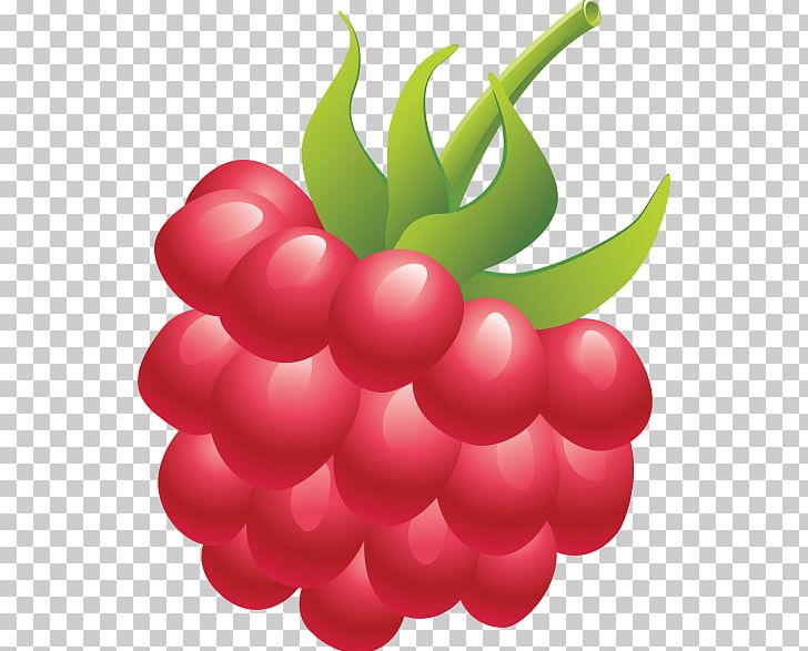 Raspberry Portable Network Graphics Open Fruit PNG, Clipart, Auglis, Berry, Boysenberry, Cherry, Download Free PNG Download