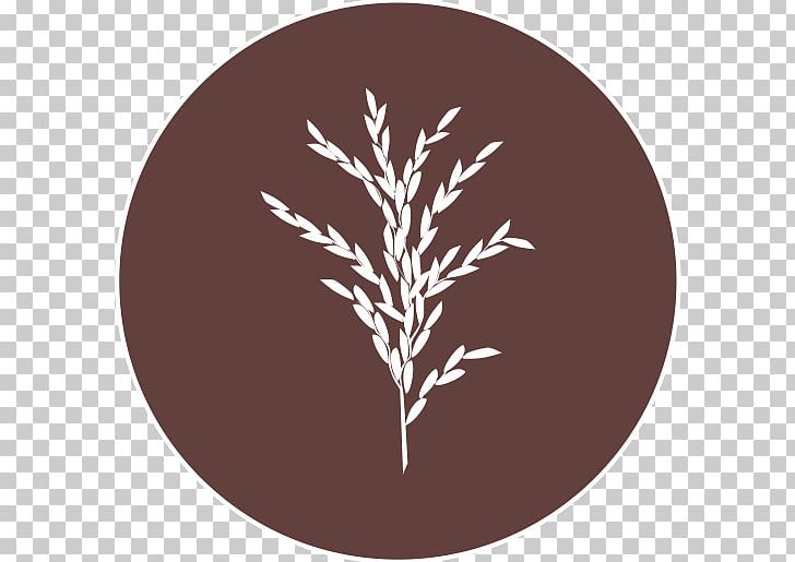 Rice Leaf Circle Savannah Font PNG, Clipart, Circle, Innovation, Leaf, Rice, Savannah Free PNG Download