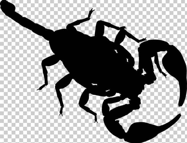 Scorpion PNG, Clipart, Arachnid, Artwork, Autocad Dxf, Black And White, Computer Icons Free PNG Download