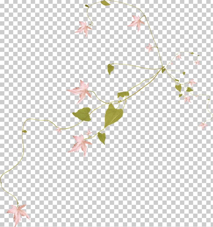 Computer Network Leaf Branch PNG, Clipart, Branch, Cherry Blossom, Computer Icons, Computer Network, Download Free PNG Download