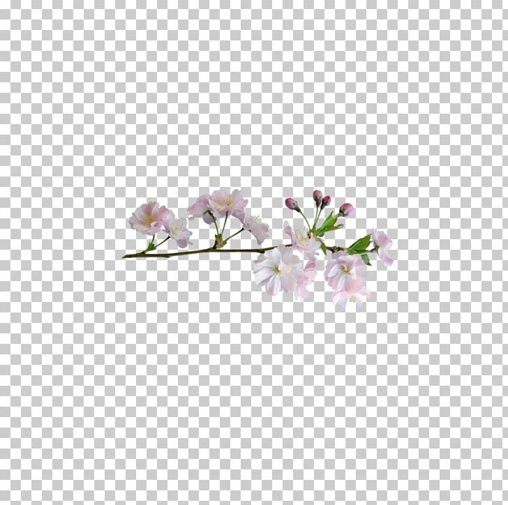 Flower PNG, Clipart, Adobe Illustrator, Blossom, Blossoms, Branch, Bud Free PNG Download