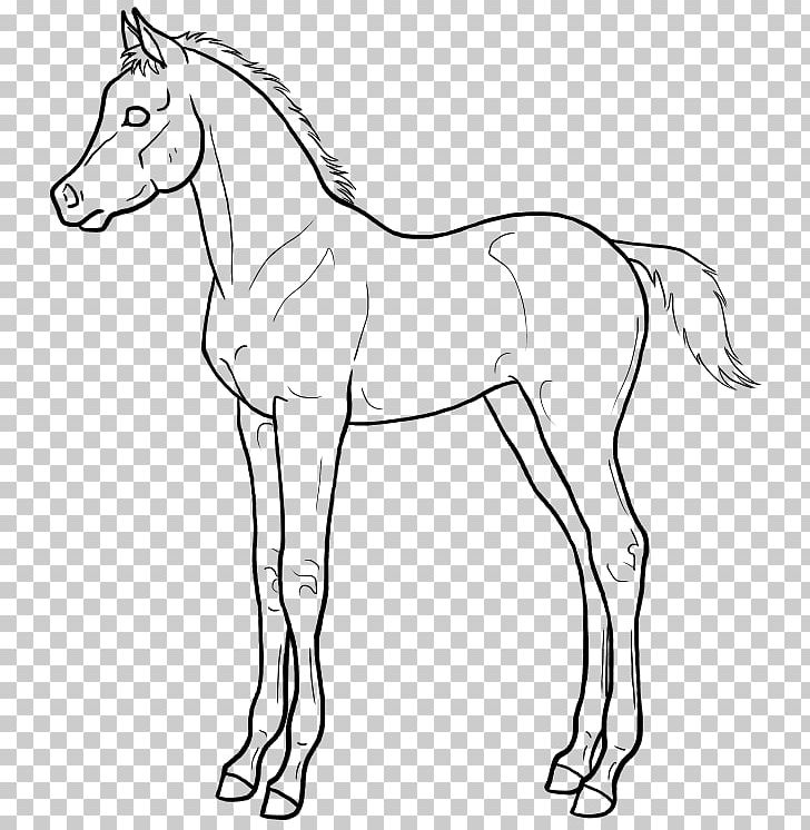Mule Arabian Horse Line Art Foal Drawing PNG, Clipart, Animal Figure, Arabian Horse, Art, Artwork, Black And White Free PNG Download