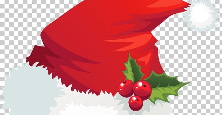 Santa Claus Christmas Santa Suit Hat PNG, Clipart, Aquifoliaceae, Christmas, Christmas Elf, Christmas Ornament, Flower Free PNG Download