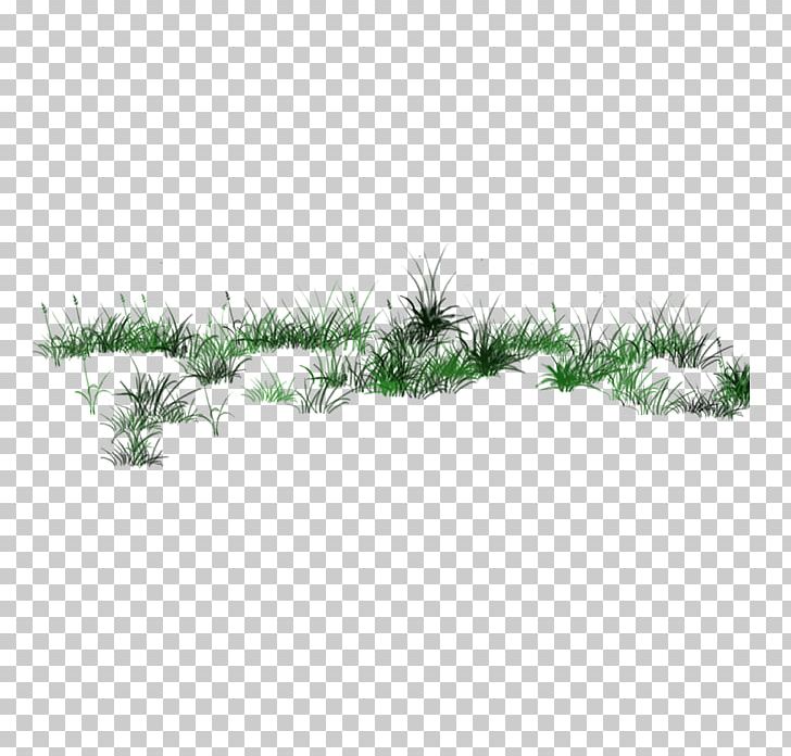 Transparency And Translucency ICO Icon PNG, Clipart, Artificial Grass, Cartoon Grass, Creative Grass, Designer, Download Free PNG Download