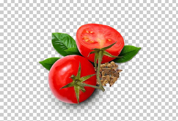 Bush Tomato Sodebo SA Food Antioxidant PNG, Clipart, Acerola, Acerola Family, Apple, Barbados Cherry, Diet Food Free PNG Download