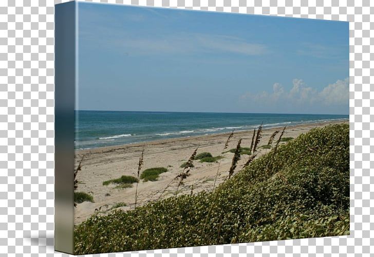 Shore Sea Beach Coast Ocean PNG, Clipart, Bay, Beach, Coast, Coastal And Oceanic Landforms, Horizon Free PNG Download