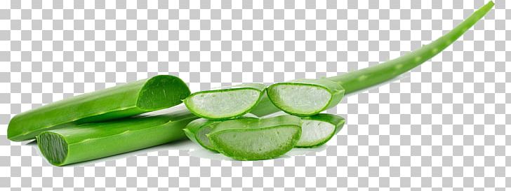 Aloe Vera Plant Oil Gel Skin PNG, Clipart, Aloe, Aloe Vera, Burn, Detoxification, Essential Amino Acid Free PNG Download