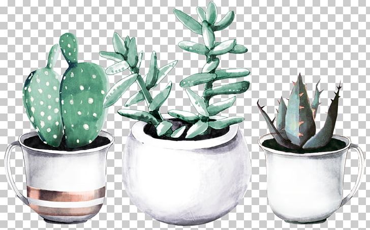 Cactaceae Succulent Plant Watercolor Painting Drawing Haworthia PNG, Clipart, Aloe, Art, Cactaceae, Cactus, Ceramic Free PNG Download
