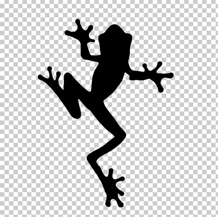 Frog Silhouette PNG, Clipart, Amphibian, Animals, Art, Black And White, Frog Free PNG Download
