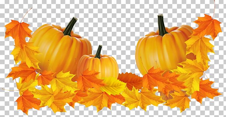 Thanksgiving Turkey PNG, Clipart, Calabaza, Cucurbita, Flower, Free Content, Gourd Free PNG Download