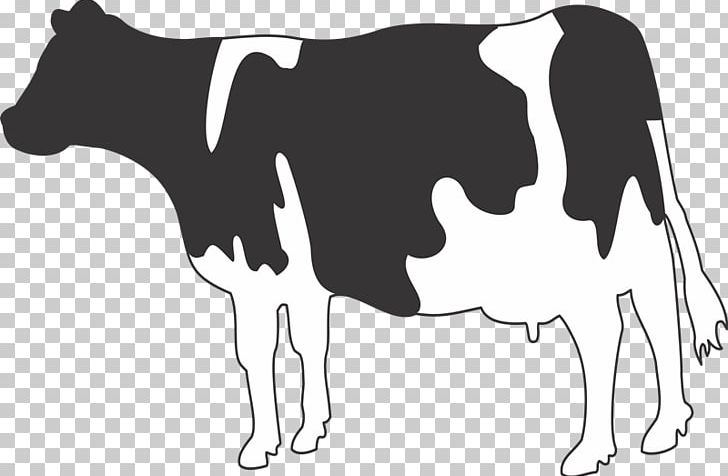 Jersey Cattle Holstein Friesian Cattle Belgian Blue Dairy Cattle Water Buffalo PNG, Clipart, Black, Breed, Calf, Carnivoran, Cow Goat Family Free PNG Download