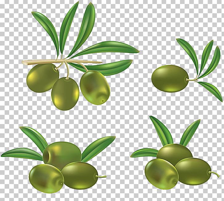 Olive Oil PNG, Clipart, Banco De Imagens, Black Olive, Clip Art, Drawing, Food Free PNG Download