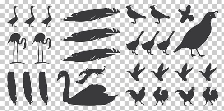 Typeface Crayon Ink Brush Font PNG, Clipart, Animal Migration, Bird, Bird Migration, Crane Like Bird, Crayon Free PNG Download