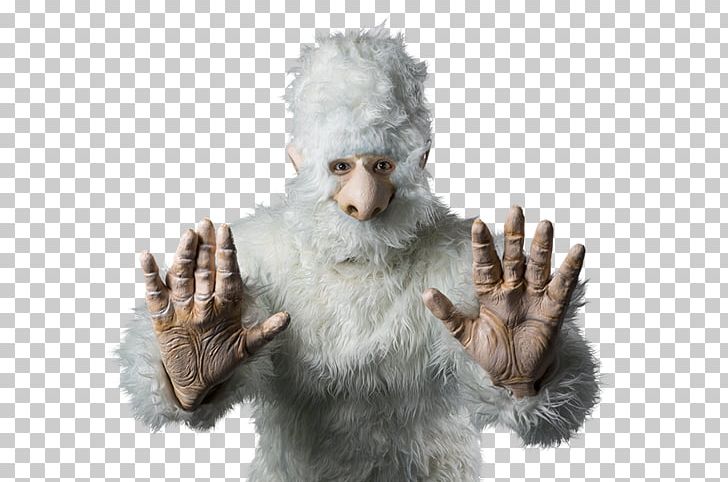 Yeti Light PNG, Clipart, Blond, Camera, Fur, Hair, Jpmorgan Chase Free PNG Download