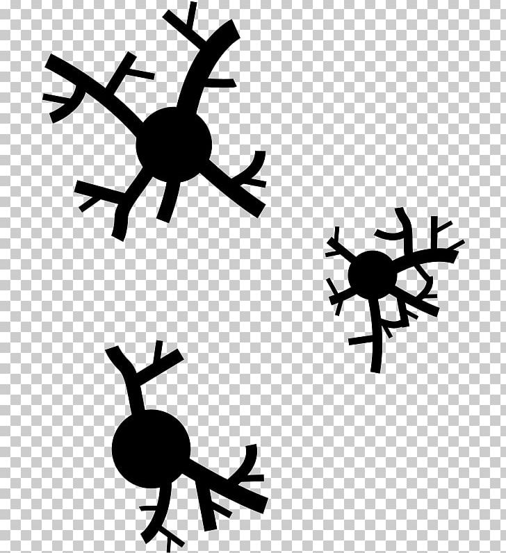 Computer Icons PNG, Clipart, Artwork, Black And White, Branch, Burn, Computer Icons Free PNG Download