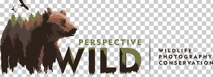 Wildlife Photography Logo Photographer PNG, Clipart, Advertising, Bear, Brand, Carnivoran, Conservation Photography Free PNG Download