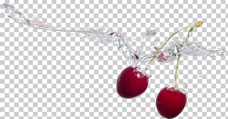 Cherry Fruit Water Music Body Jewellery PNG, Clipart, Body Jewellery, Body Jewelry, Branch, Business, Cherry Free PNG Download