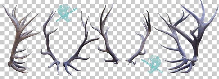 Elk Deer Antler Horn Feather PNG, Clipart, Animals, Anime, Antler, Art, Artwork Free PNG Download
