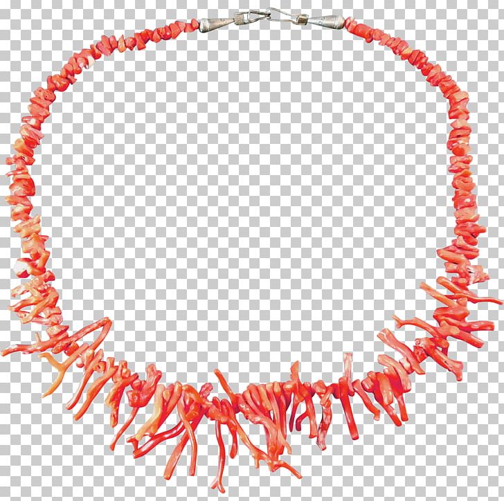 Jewellery Necklace Red Coral Clothing Accessories PNG, Clipart, Americans, Bead, Body Jewelry, Clothing Accessories, Coral Free PNG Download