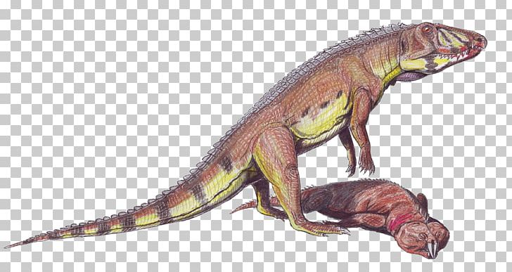 Ornithosuchus Crocodiles Pseudosuchia Lossiemouth Sandstone PNG, Clipart, Ancient Times, Animal, Archosaur, Carnian, Carnosauria Free PNG Download
