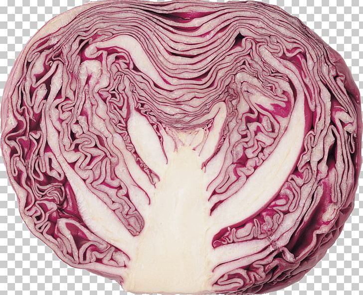 Red Cabbage Brussels Sprout Savoy Cabbage Cauliflower PNG, Clipart, Business, Cabbage, Cabbage Family, Cauliflower, Dinnertime Free PNG Download