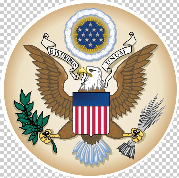 United States Bald Eagle Soaring With The Wind White-tailed Eagle Bird PNG, Clipart, Badge, Bald Eagle, Bird, Crest, Eagle Free PNG Download