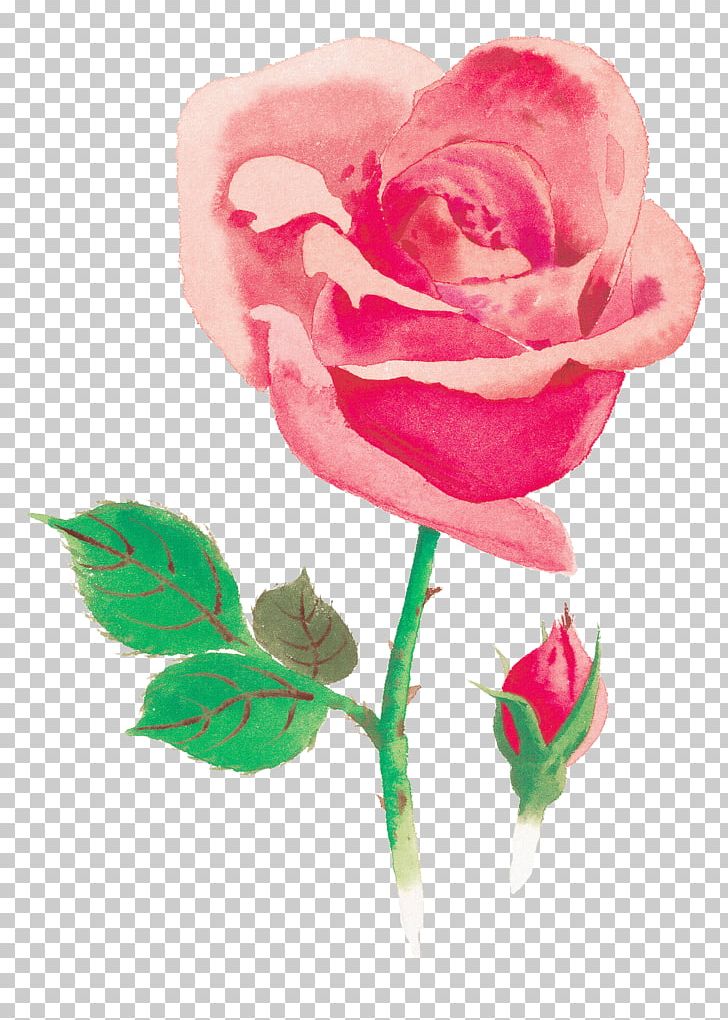 Beach Rose Watercolor Painting Red Flower PNG, Clipart, Art, Beach Rose, Bud, Color, Cut Flowers Free PNG Download