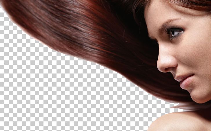 Hairstyle Model Cosmetics Long Hair PNG, Clipart, Beauty, Black Hair, Brown Hair, Capelli, Care Free PNG Download