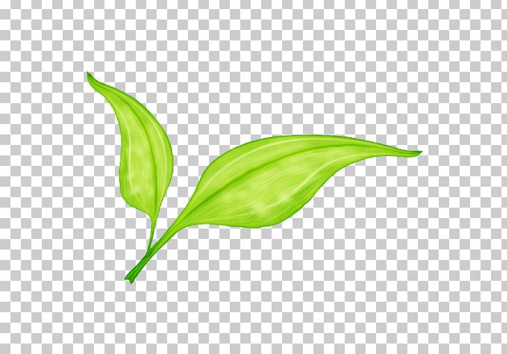 Leaf Green PNG, Clipart, Computer Icons, Element, Germination, Grass, Green Free PNG Download