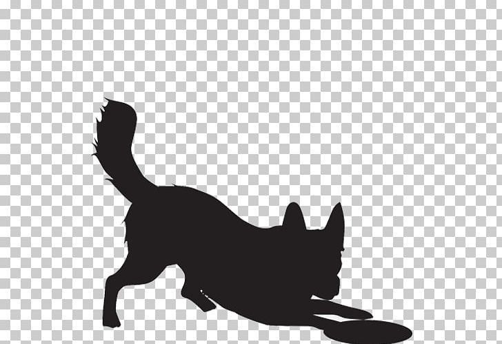 Border Collie Rough Collie Shetland Sheepdog PNG, Clipart, Animals, Black, Black And White, Black Cat, Border Collie Free PNG Download