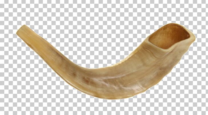 Rosh Hashanah Shofar Blowing Judaism Synagogue PNG, Clipart, Chabad House, Challah, High Holy Days, Horn, Jaw Free PNG Download