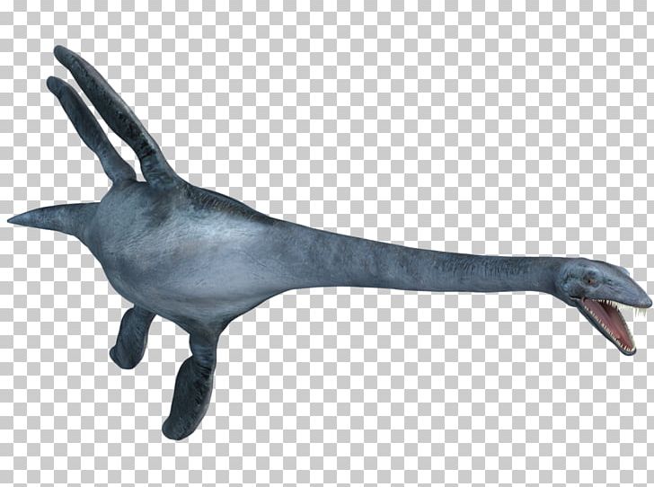 Elasmosaurus Plesiosauria Mosasaurus Tylosaurus Late Cretaceous PNG, Clipart, Cretaceous, Cretoxyrhina Mantelli, Dinosaur, Dolphin, Elasmosauridae Free PNG Download