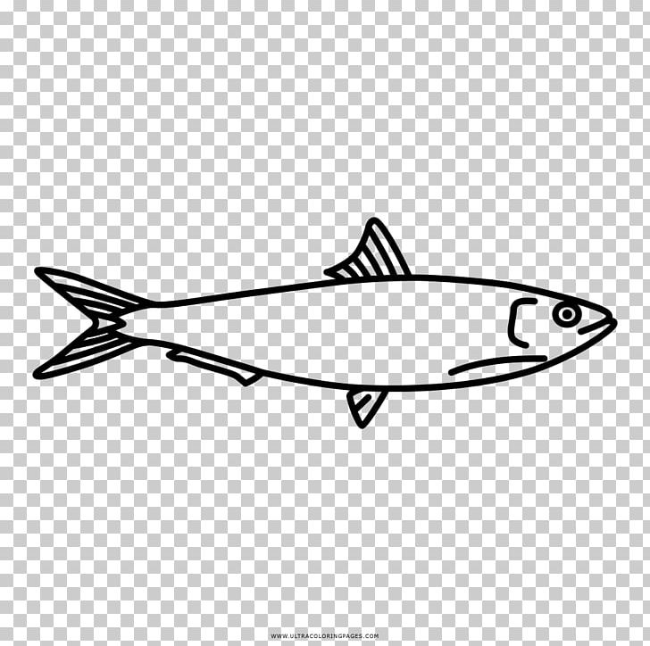 Fish Drawing Sardine Coloring Book PNG, Clipart, Anchovy, Animals, Ansjosfamilien, Askartelu, Black Free PNG Download