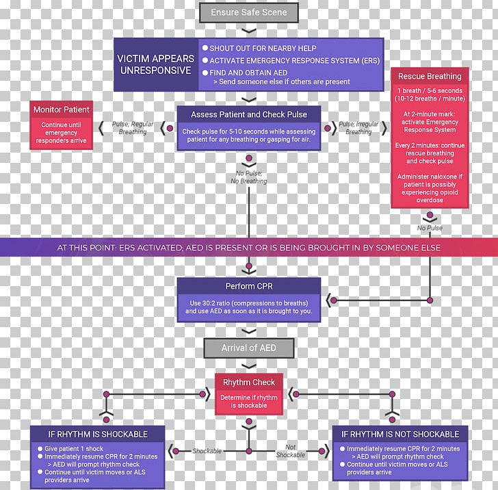 Pediatric Basic Life Support Pediatric Advanced Life Support Cardiopulmonary Resuscitation Pulse PNG, Clipart, Algorithm, American Heart Association, Area, Arrest, First Aid Supplies Free PNG Download