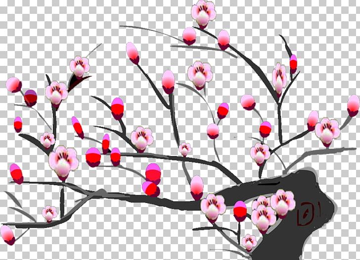 Plum Blossom Flower PNG, Clipart, Blossom, Branch, Branches, Cherry, Cherry Blossom Free PNG Download