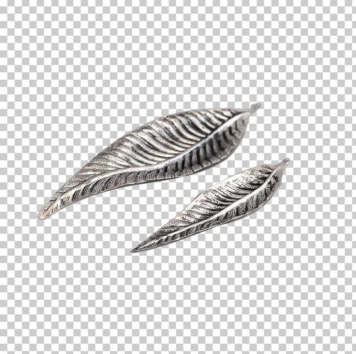 Feather PNG, Clipart, Animals, Cerezlik, Feather, Gumus, Harun Free PNG Download