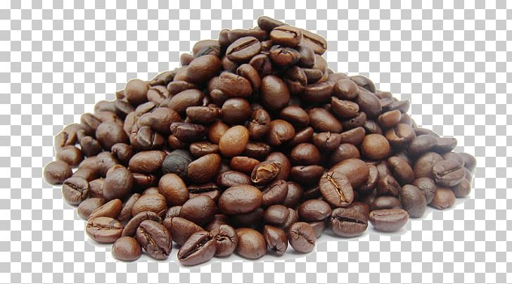 Jamaican Blue Mountain Coffee Caffxe8 Mocha Monsooned Malabar Sidamo Province PNG, Clipart, Arabica Coffee, Bean, Beans, Caffeine, Caffxe8 Mocha Free PNG Download