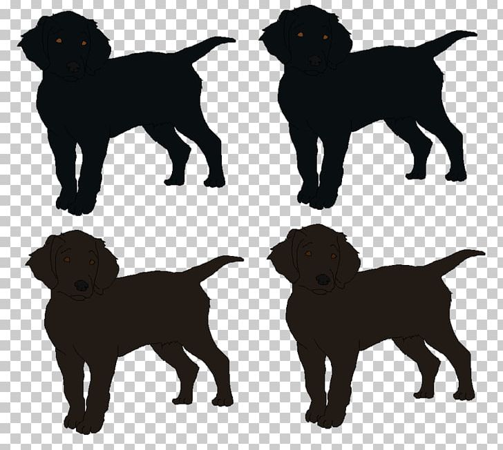 Labrador Retriever Flat-Coated Retriever Puppy Dog Breed Companion Dog PNG, Clipart, Breed, Carnivoran, Coat, Companion Dog, Crossbreed Free PNG Download