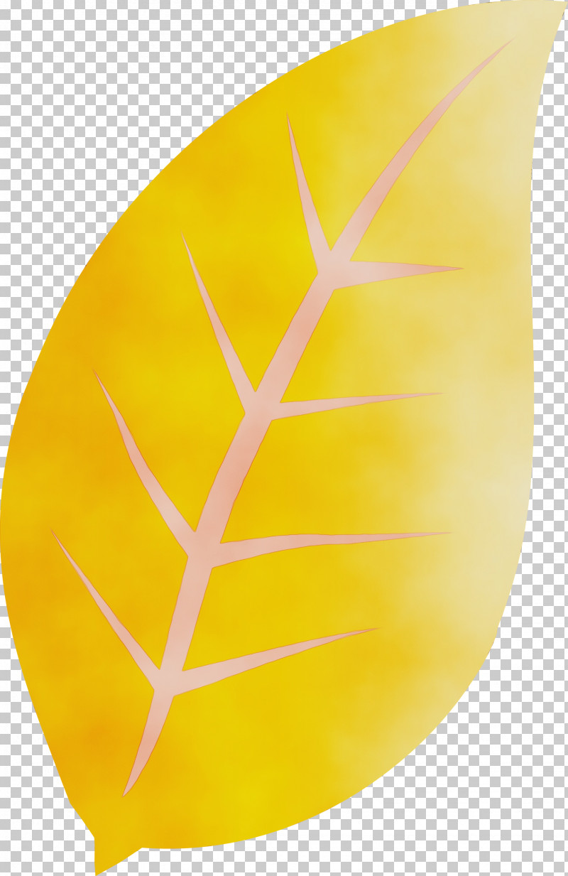 Leaf Commodity Yellow Plants Biology PNG, Clipart, Biology, Commodity ...