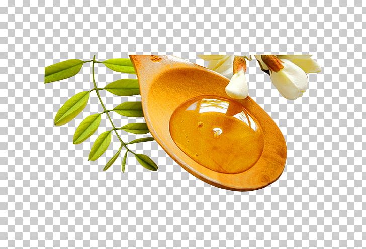 Beekeeping Honey Nectar PNG, Clipart, Acacia Honey, Bee, Beverage, Cat, Cup Free PNG Download