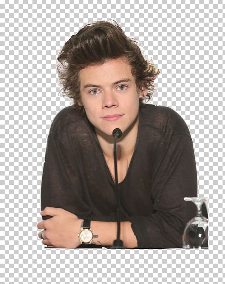 Harry Styles Zayn Malik Where We Are Tour The X Factor One Direction: Where We Are PNG, Clipart, Brown Hair, Celebrity, Chin, Forehead, Girl Free PNG Download